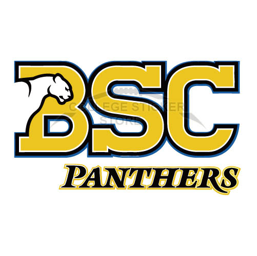 Customs Birmingham Southern Panthers Iron-on Transfers (Wall Stickers) N4007